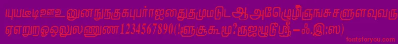 NirmalaRegular Font – Red Fonts on Purple Background