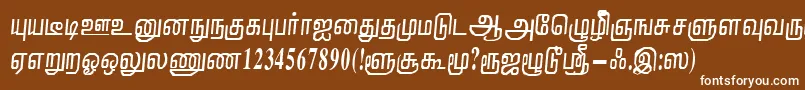 NirmalaRegular Font – White Fonts on Brown Background