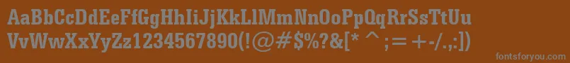 SerifaBoldCondensedBt-Schriftart – Graue Schriften auf braunem Hintergrund