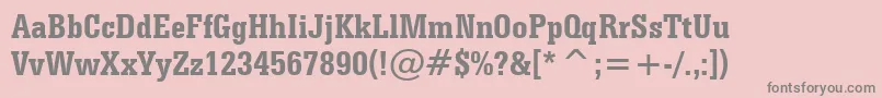 SerifaBoldCondensedBt Font – Gray Fonts on Pink Background