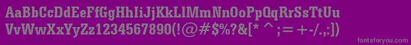 SerifaBoldCondensedBt Font – Gray Fonts on Purple Background