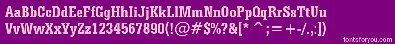 SerifaBoldCondensedBt Font – Pink Fonts on Purple Background