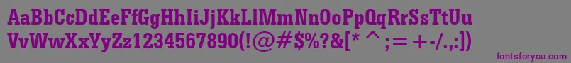 SerifaBoldCondensedBt-Schriftart – Violette Schriften auf grauem Hintergrund
