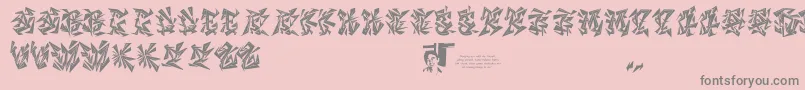 Chasezenblight Font – Gray Fonts on Pink Background