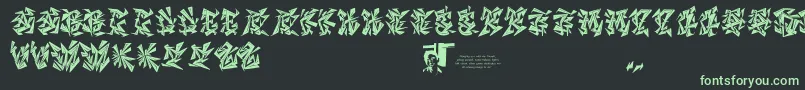 Chasezenblight Font – Green Fonts on Black Background
