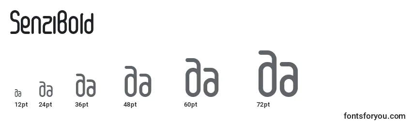 SenziBold Font Sizes