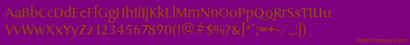 SydneyserialRegular Font – Brown Fonts on Purple Background