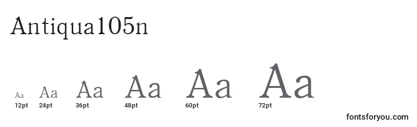 Antiqua105n Font Sizes