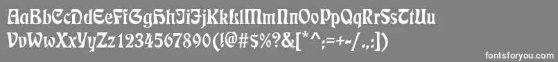 EtienneRegular-Schriftart – Weiße Schriften auf grauem Hintergrund