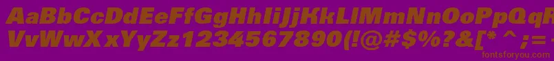 AGroticextrablackItalic Font – Brown Fonts on Purple Background