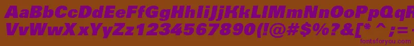 AGroticextrablackItalic Font – Purple Fonts on Brown Background