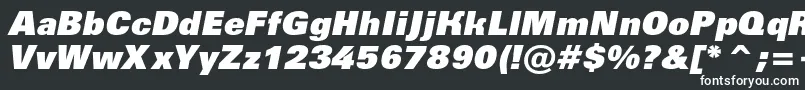 フォントAGroticextrablackItalic – 白い文字