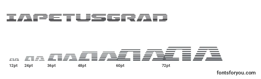 Размеры шрифта Iapetusgrad