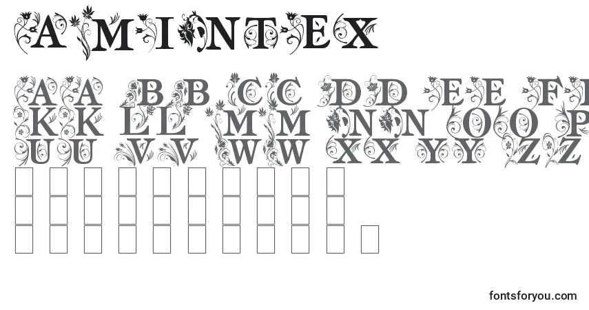 Czcionka AmIntex – alfabet, cyfry, specjalne znaki