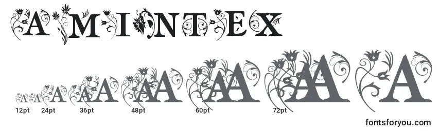 AmIntex Font Sizes