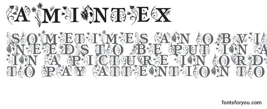 Шрифт AmIntex