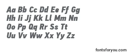 PfdintextcondproXblackitalic Font
