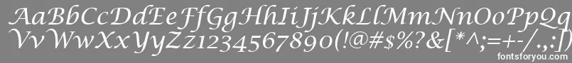 LucidaCalligraphyItalic-fontti – valkoiset fontit harmaalla taustalla