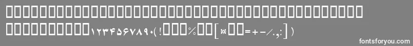 BFerdosi Font – White Fonts on Gray Background