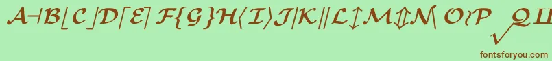 CmMathsymbolBold Font – Brown Fonts on Green Background