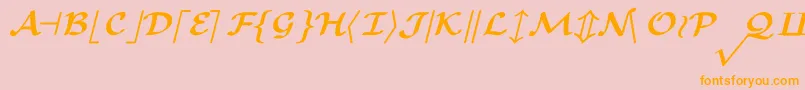 CmMathsymbolBold Font – Orange Fonts on Pink Background