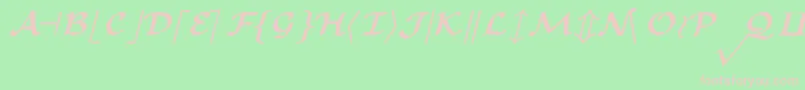 CmMathsymbolBold Font – Pink Fonts on Green Background