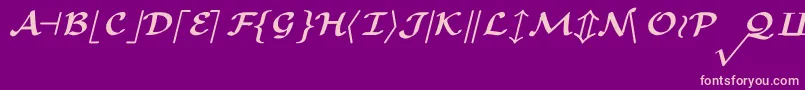 CmMathsymbolBold Font – Pink Fonts on Purple Background