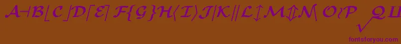 CmMathsymbolBold Font – Purple Fonts on Brown Background