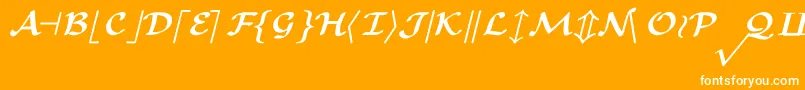 CmMathsymbolBold Font – White Fonts on Orange Background