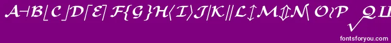 フォントCmMathsymbolBold – 紫の背景に白い文字