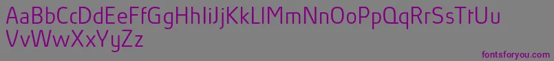 AbsolutProLightReduced Font – Purple Fonts on Gray Background