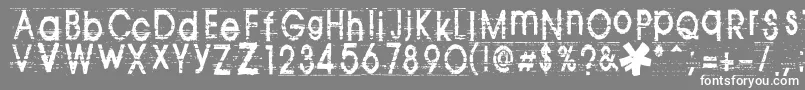 フォントTomva ffy – 灰色の背景に白い文字