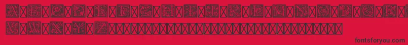 フォントPfGoudyInitialsPro – 赤い背景に黒い文字