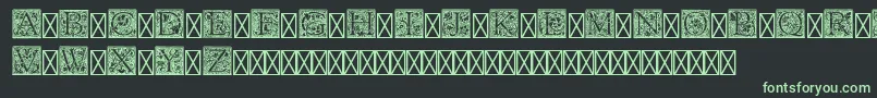フォントPfGoudyInitialsPro – 黒い背景に緑の文字