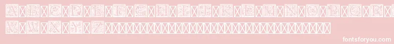 Шрифт PfGoudyInitialsPro – белые шрифты на розовом фоне
