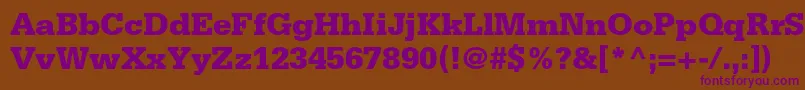 SerifastdBlack-fontti – violetit fontit ruskealla taustalla