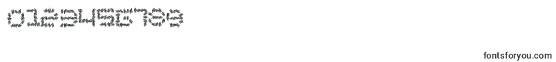 Chronicsales-Schriftart – Schriften für Zahlen und Nummern