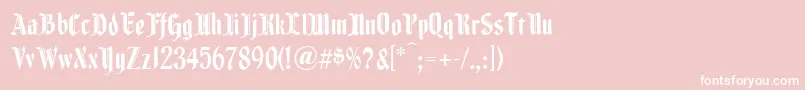 Fenwickwoodtype Font – White Fonts on Pink Background