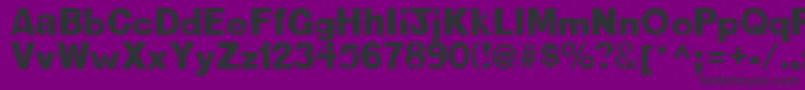 NewBold Font – Black Fonts on Purple Background