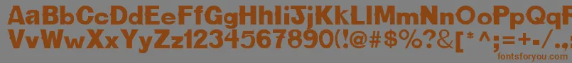NewBold Font – Brown Fonts on Gray Background