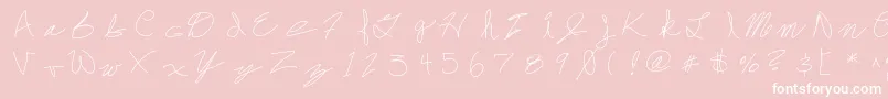 Frankdrebon Font – White Fonts on Pink Background