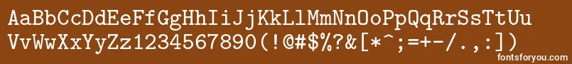 フォントLmmono8Regular – 茶色の背景に白い文字