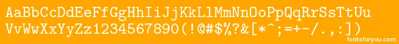 Lmmono8Regular Font – White Fonts on Orange Background