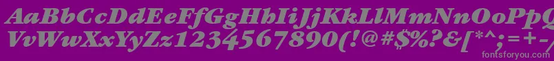 GaramondbookgttBolditalic Font – Gray Fonts on Purple Background