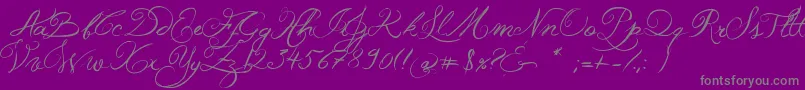 JellykaWesternPrincess-Schriftart – Graue Schriften auf violettem Hintergrund