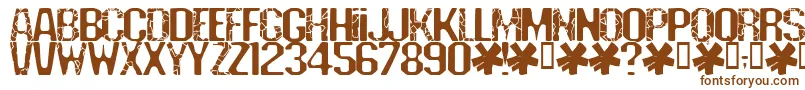 Шрифт Deadline – коричневые шрифты на белом фоне