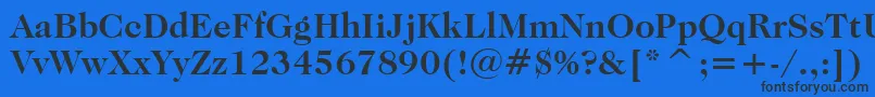 CaslonNo.224BoldBt Font – Black Fonts on Blue Background