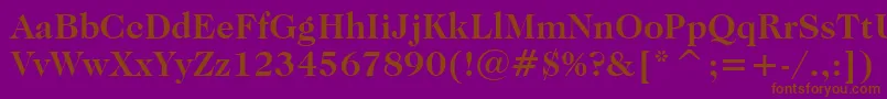 CaslonNo.224BoldBt Font – Brown Fonts on Purple Background
