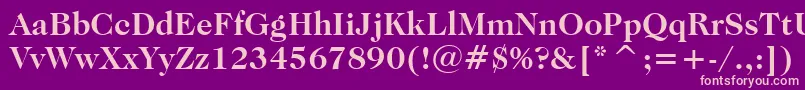 CaslonNo.224BoldBt Font – Pink Fonts on Purple Background