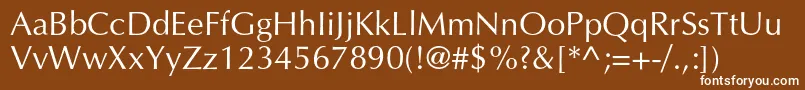 Variantc Font – White Fonts on Brown Background
